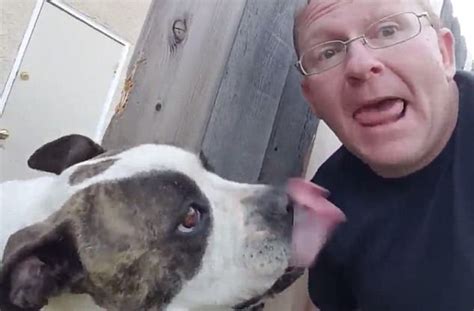 Man deep fucks his dog until he cums hard